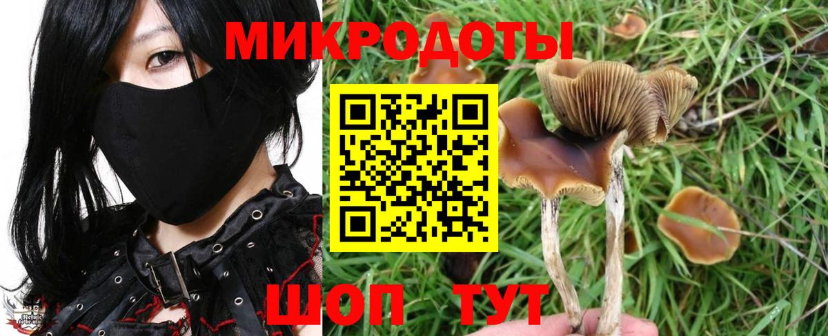 Прокопьевск  Галлюциногенные грибы мухоморы  Вход с VPN 